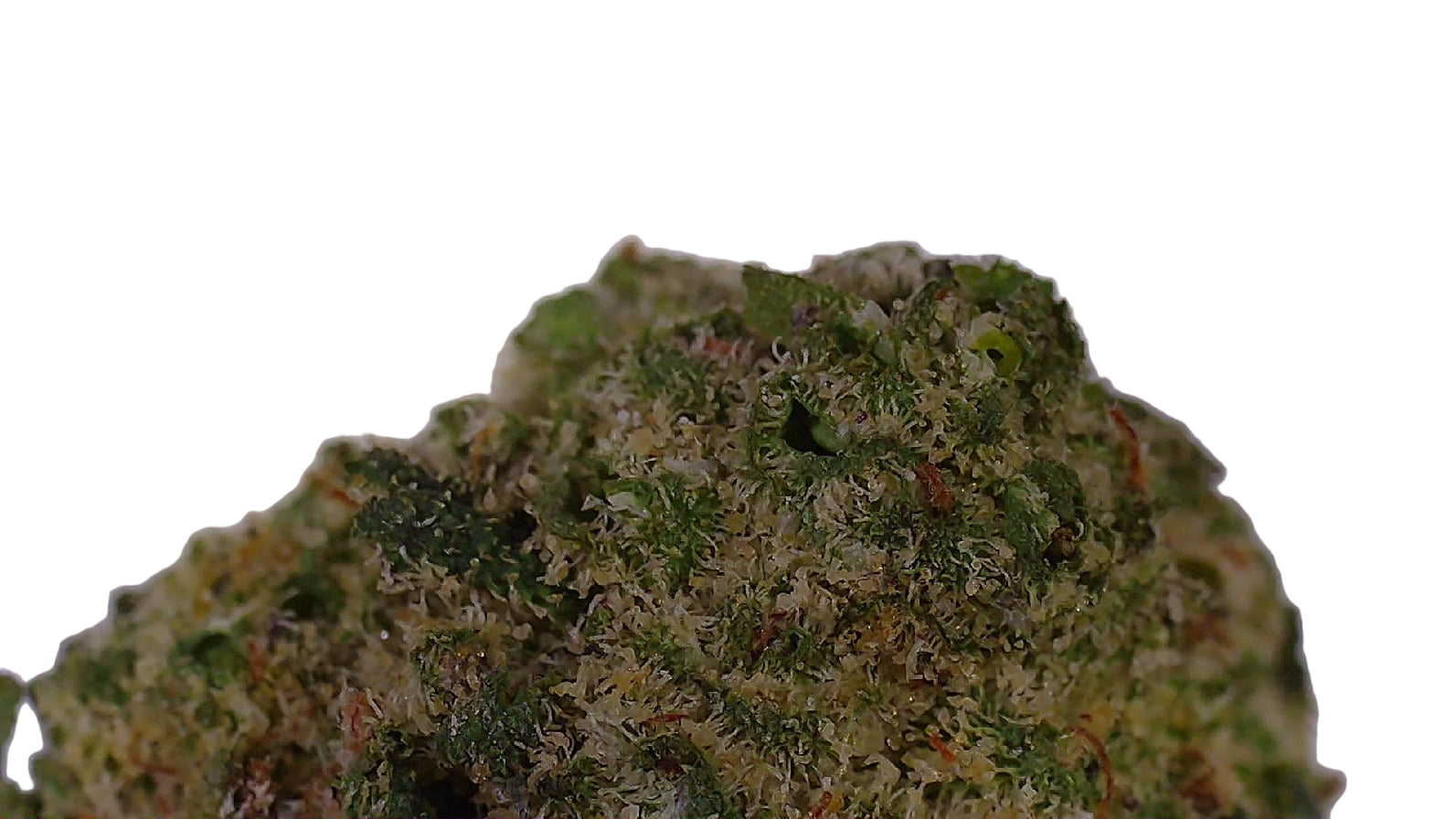 LSD Flower