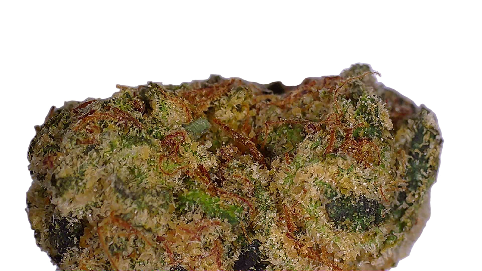 Blue Cookies