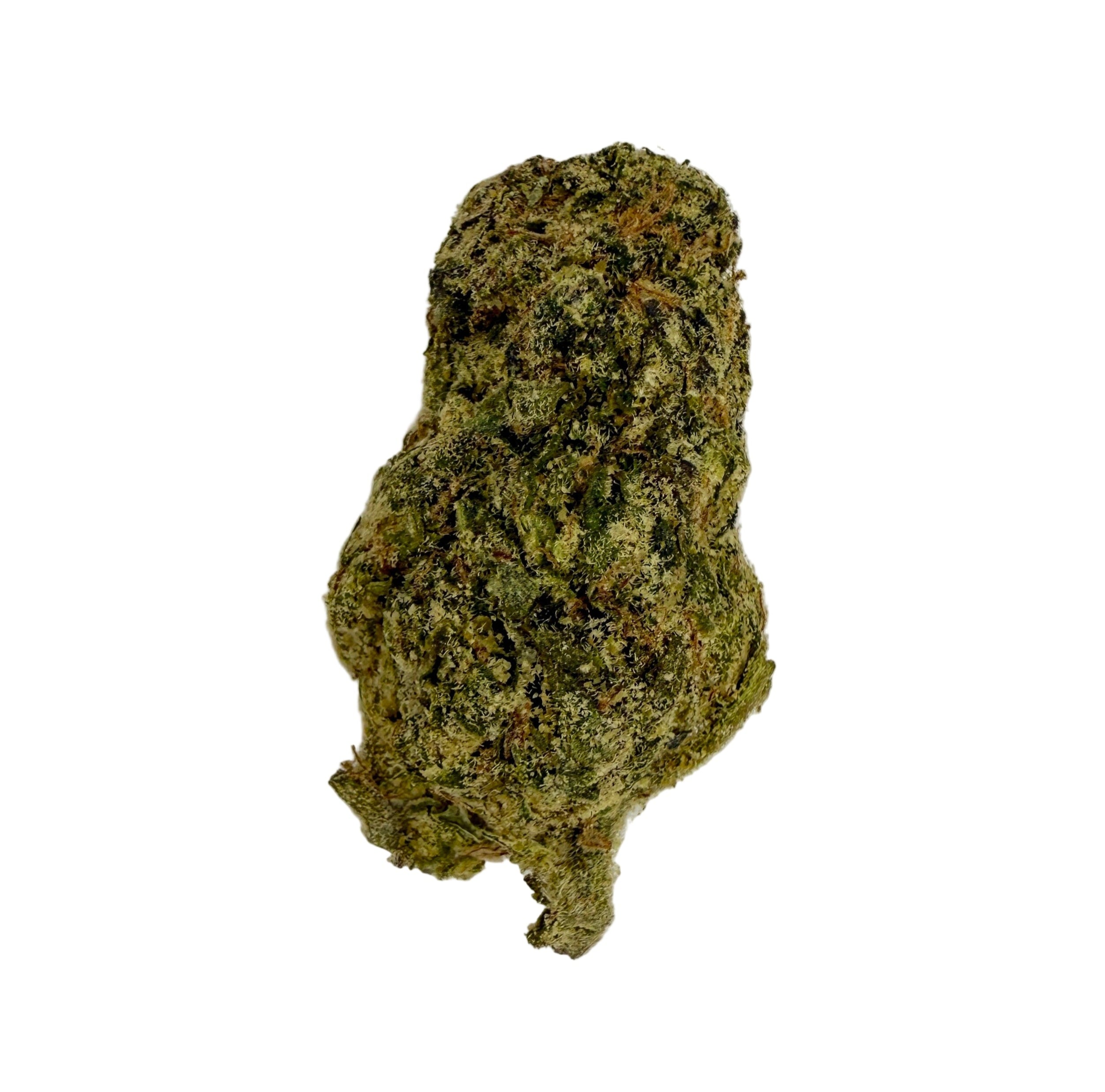 Prohibition Glue