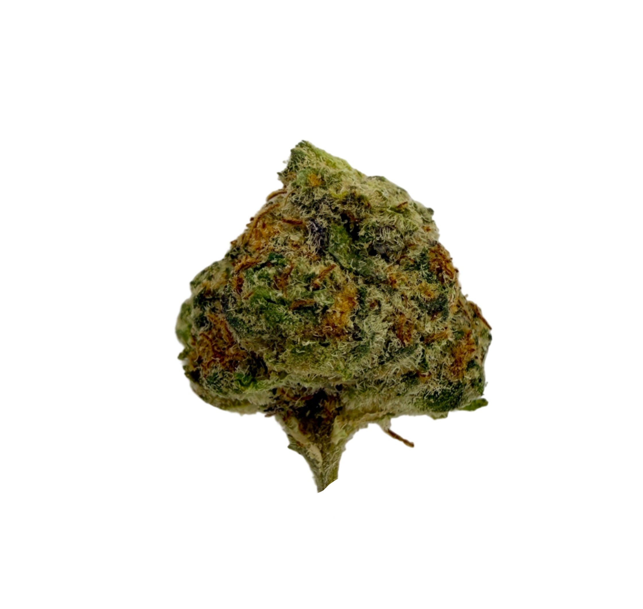 Grape Stomper