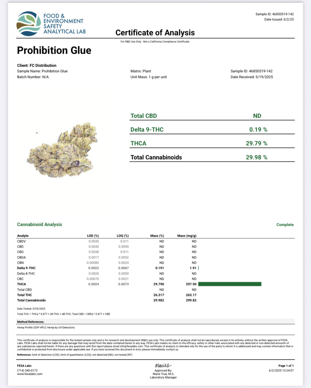 Prohibition Glue