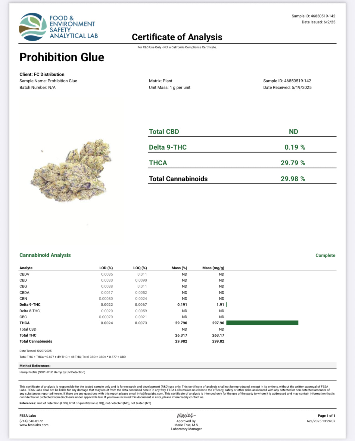Prohibition Glue