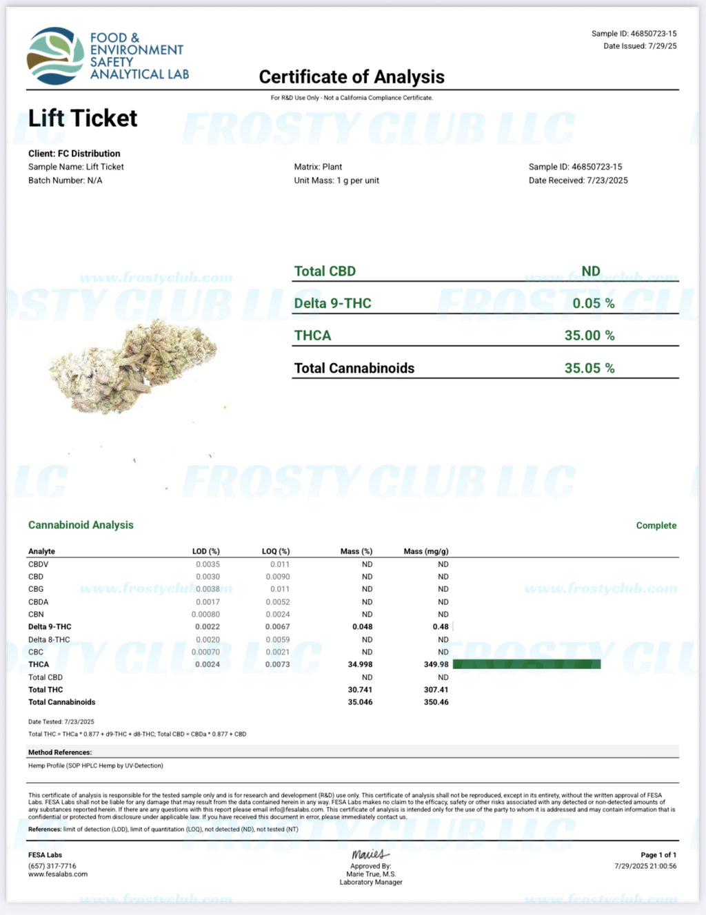Lift Ticket