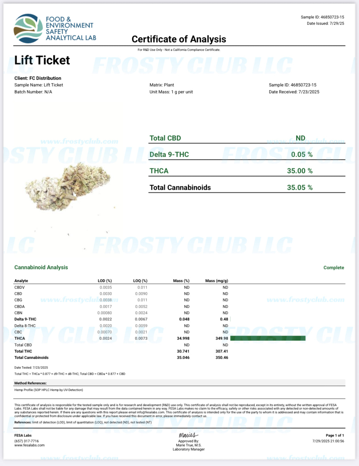 Lift Ticket